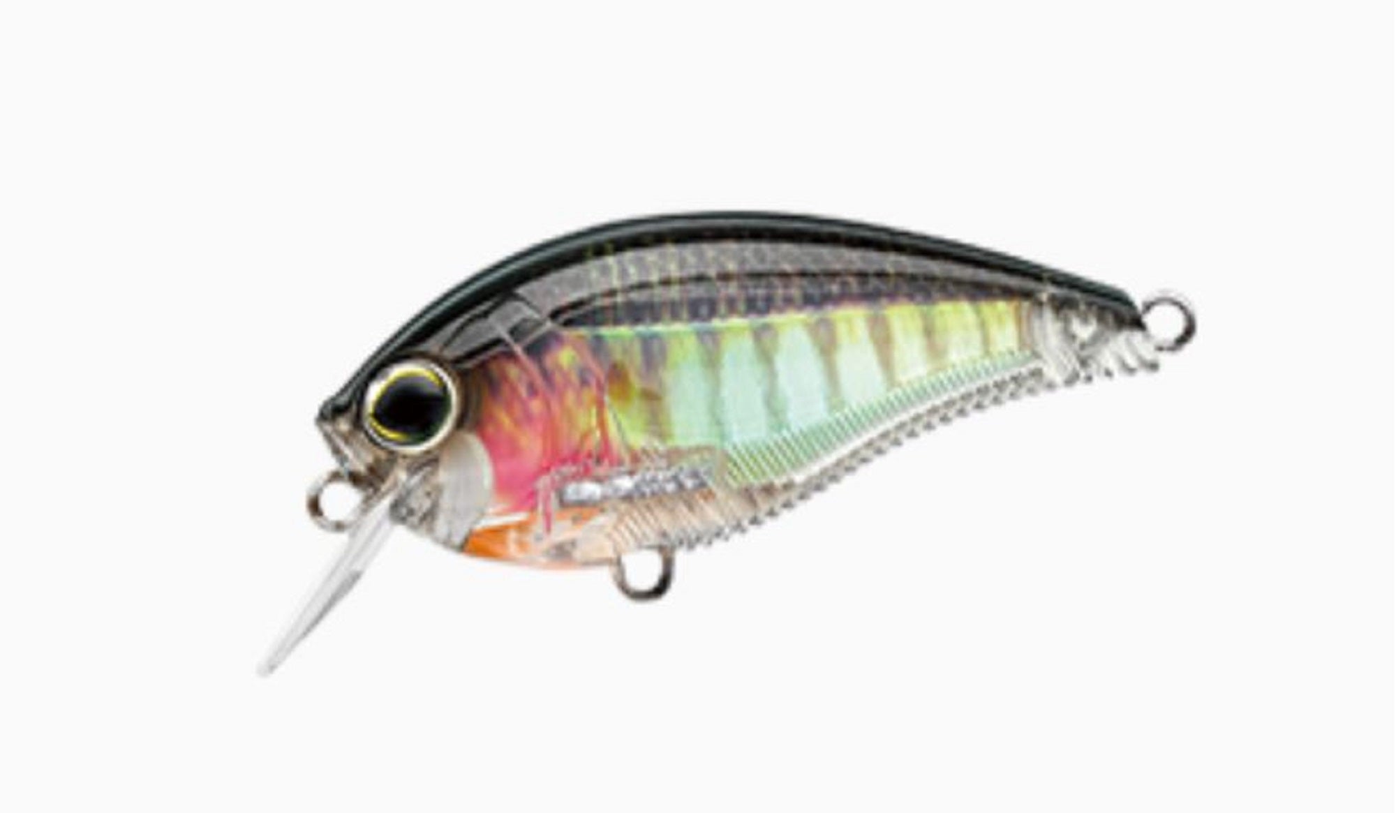 Yo Zuri Duel 3DB 1.5 MR Mid Crank 60 mm Floating Lure R1353-RBG (2952)