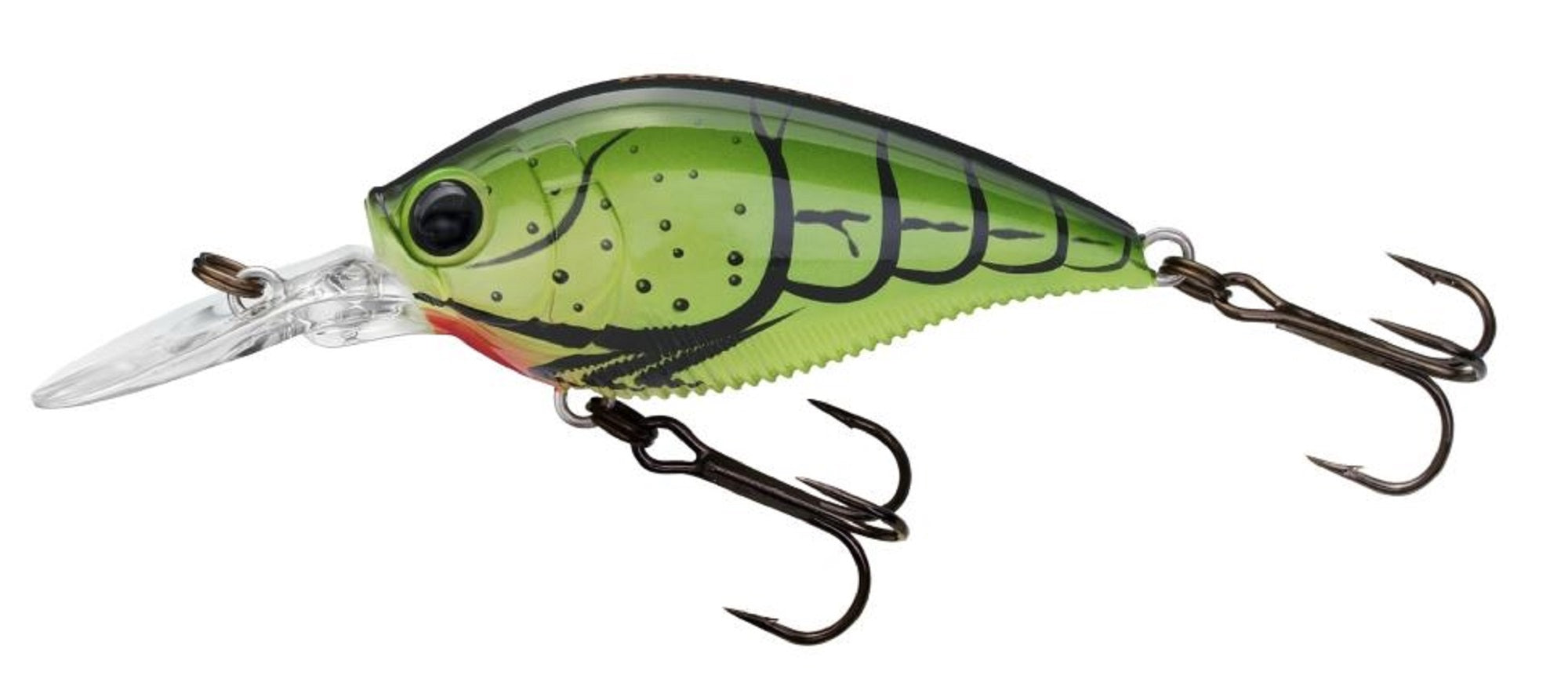 Yo Zuri Duel 3DB 1.5 MR Mid Crank 60 mm Floating Lure R1353-SCF (0049)
