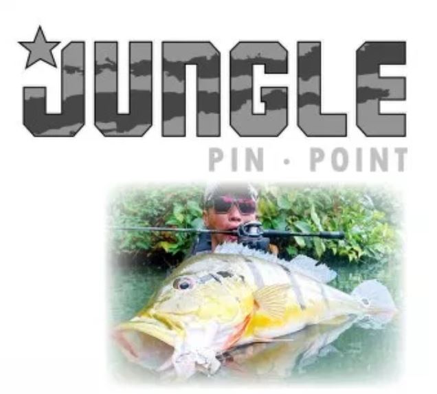 Feed Rod Baitcast Jungle Pin Point JBC-66 M P.E 2 Max (0163)
