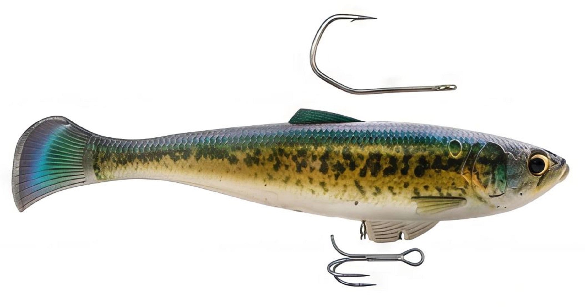 Zman Soft Lure Swag Swimbait LT 6 Inch Baby Bass (4996)