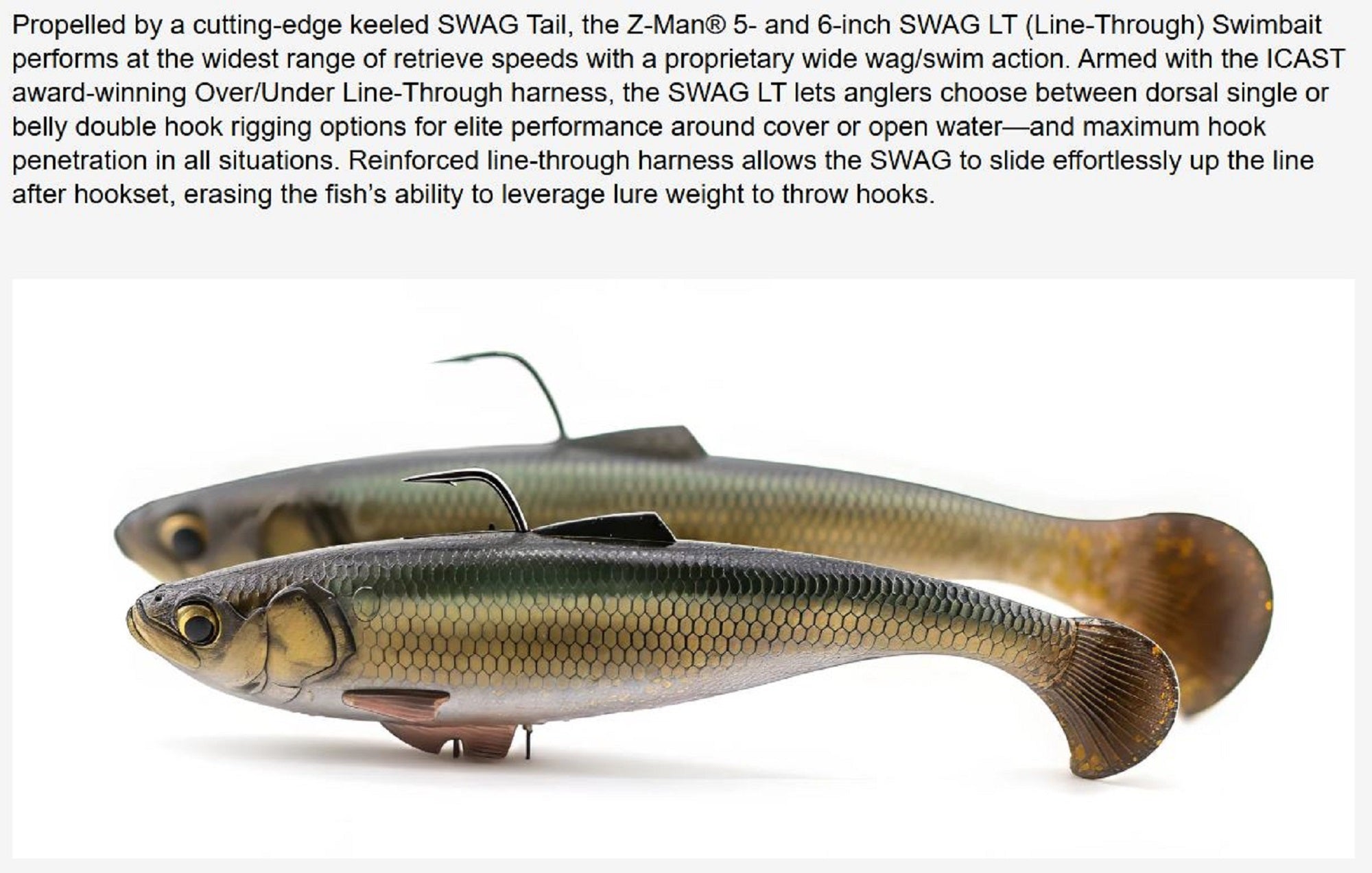 Zman Soft Lure Swag Swimbait LT 6 Inch Baby Bass (4996)