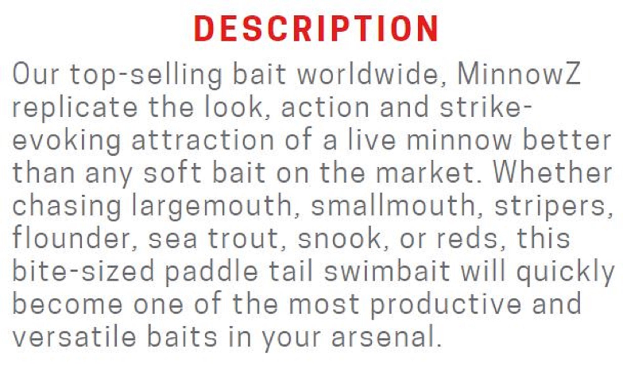 Zman Soft Lure MinnowZ 3 Inch 6/Pack The Deal (8347)
