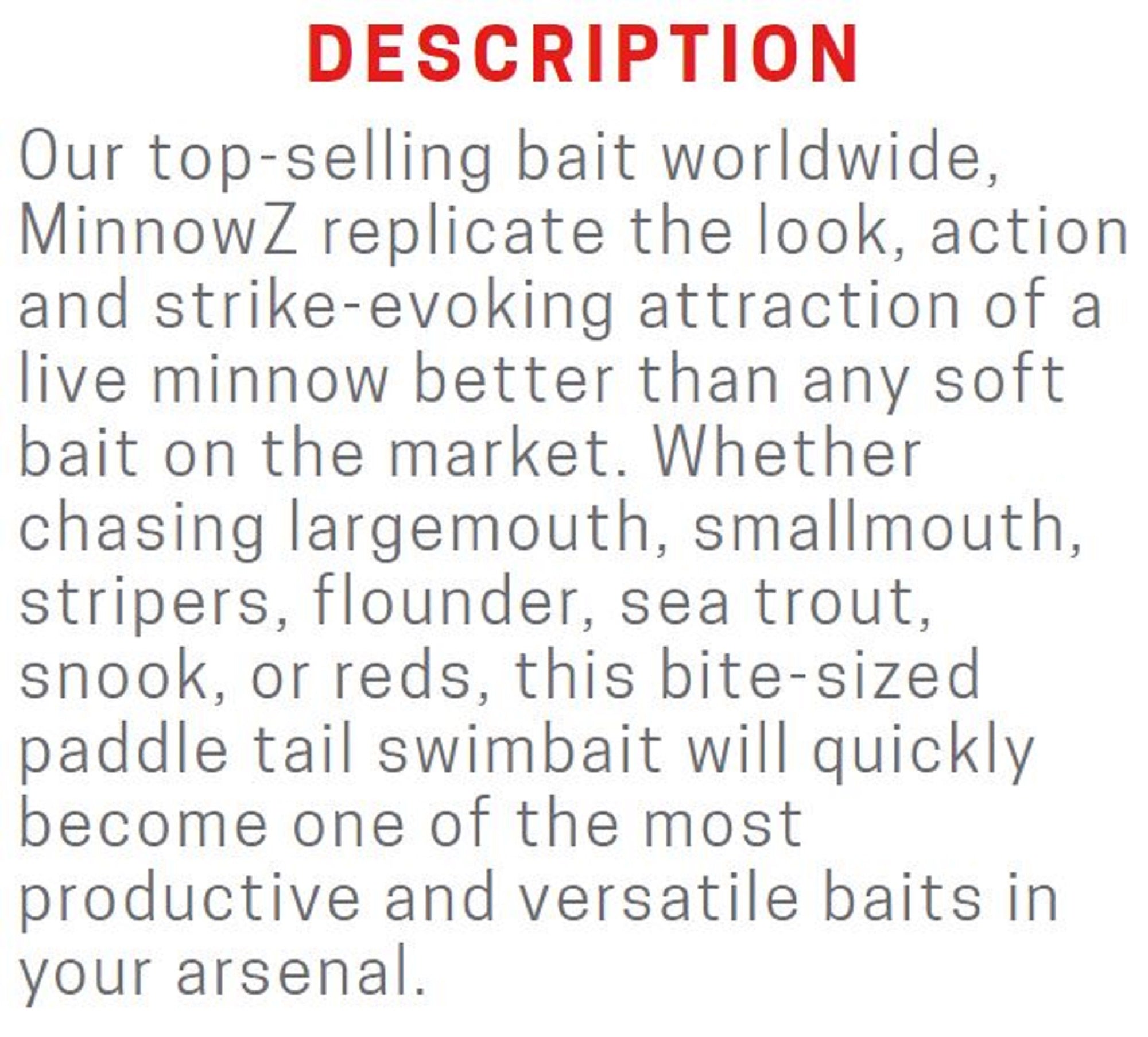 Zman Soft Lure MinnowZ 3 Inch 6/Pack Beer Run (4707)