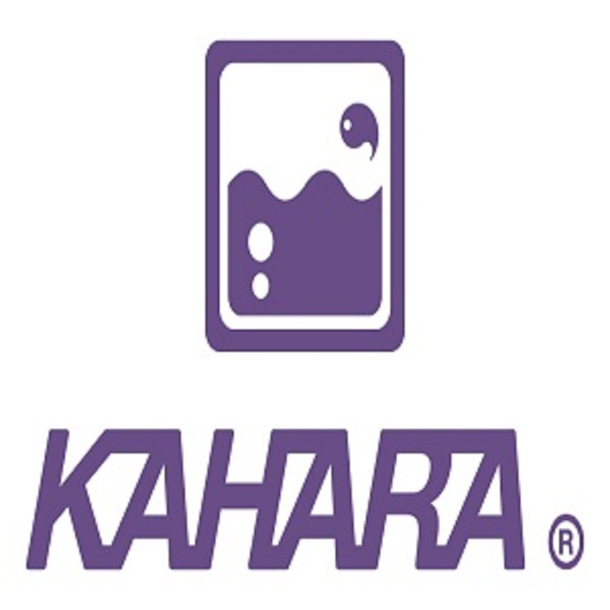 Kahara KJ Strong Lanyard Spring Coil with Carabina 25-90 cm Smoky (9228)