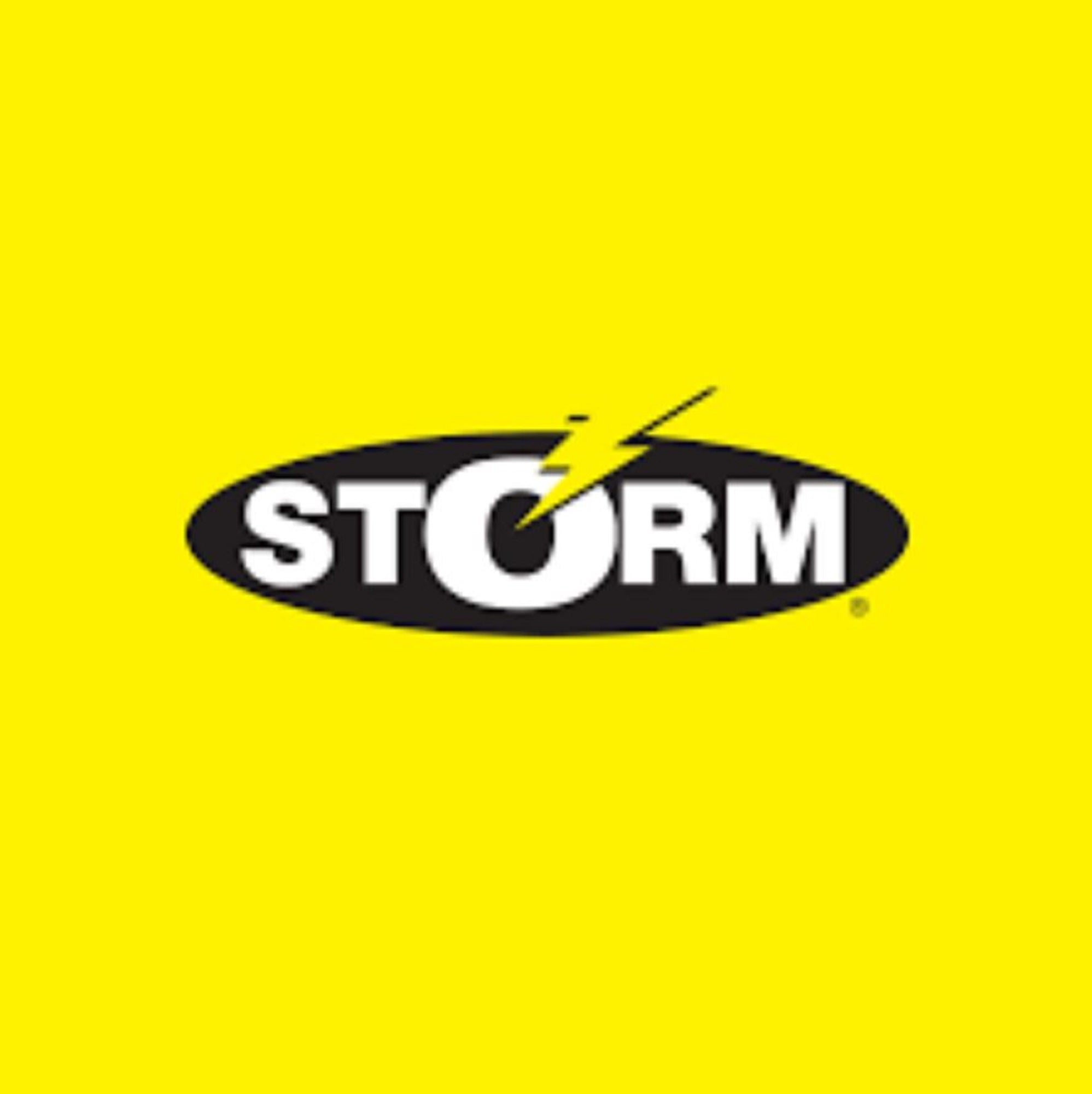 Storm Giant Jigging Shad 300mm 510 grams Sinking Lure WGJSD12/OBG (1164)